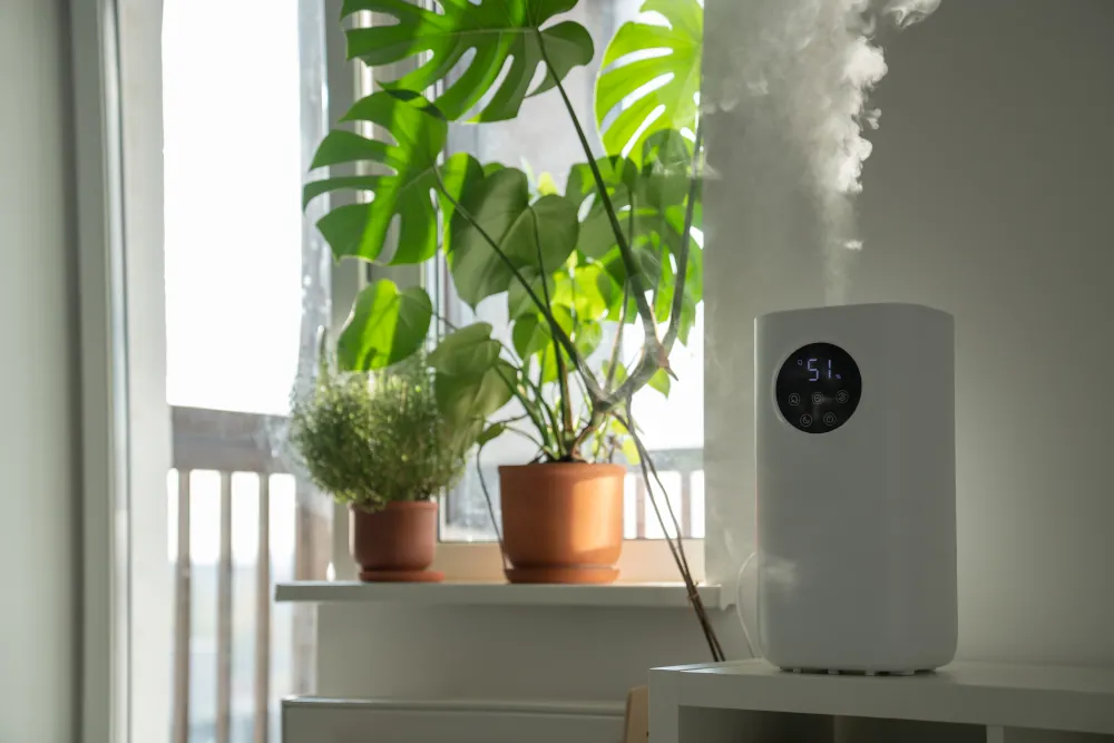 Modern humidifier at home, moistens dry air surrounded by indoor plant.